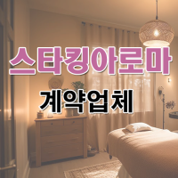 영천스타킹아로마계약업체